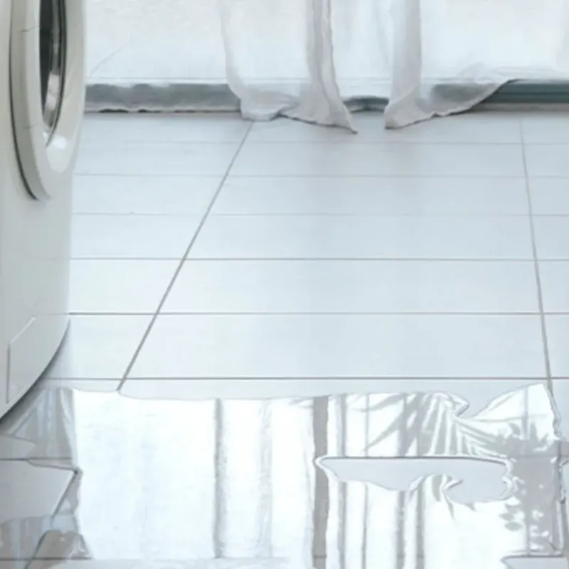 Appliance Leak Cleanup in Fairton, NJ